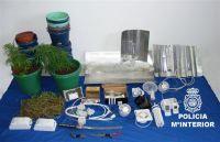 material intervenido