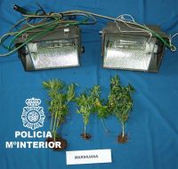marihuana