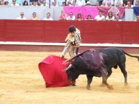 corrida4