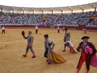 corrida6