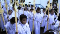 procesion domingo de ramos en don benito