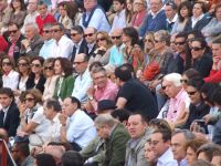tendido en Don Benito