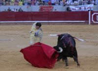 corrida3
