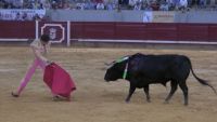 corrida4