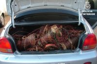 bobinas