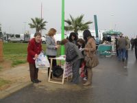 firmas2