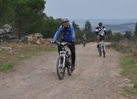 arraz5