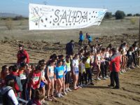 laserena4