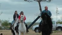 caballos en Villanueva