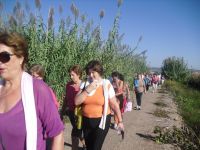 marcha via verde