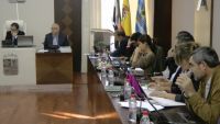 pleno