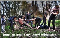 anima calendario