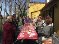 visita a las bodegas