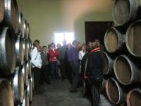 visita a bodegas