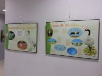 exposición diversidad