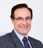 merino