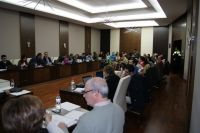 pleno ordinario