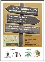 ruta pela