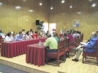 pleno de villanueva