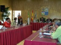 pleno villanueva