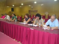 pleno villanueva