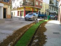 cesped en Díaz Ambrona