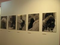 exposición