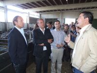 visita