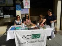 aoex