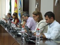 pleno vva