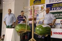 sandias11c